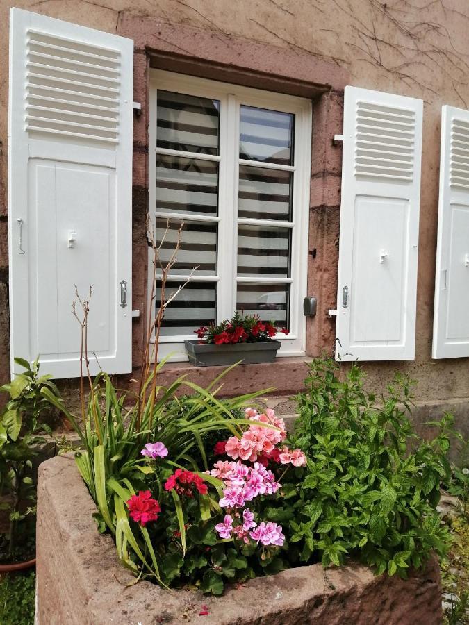קייסרסברג Gite Le Patio מראה חיצוני תמונה